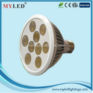 18W CE conforme RoHS LED PAR Light Par38 Light